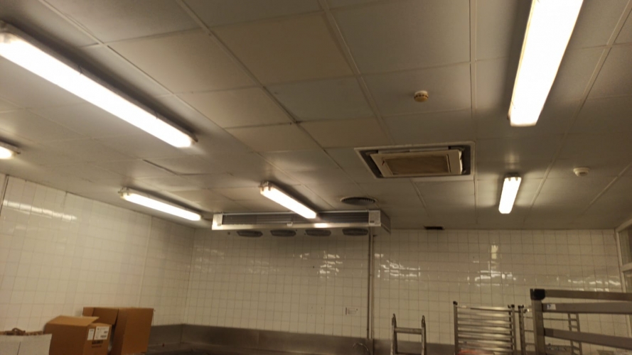 Refrigeración cámara preparación